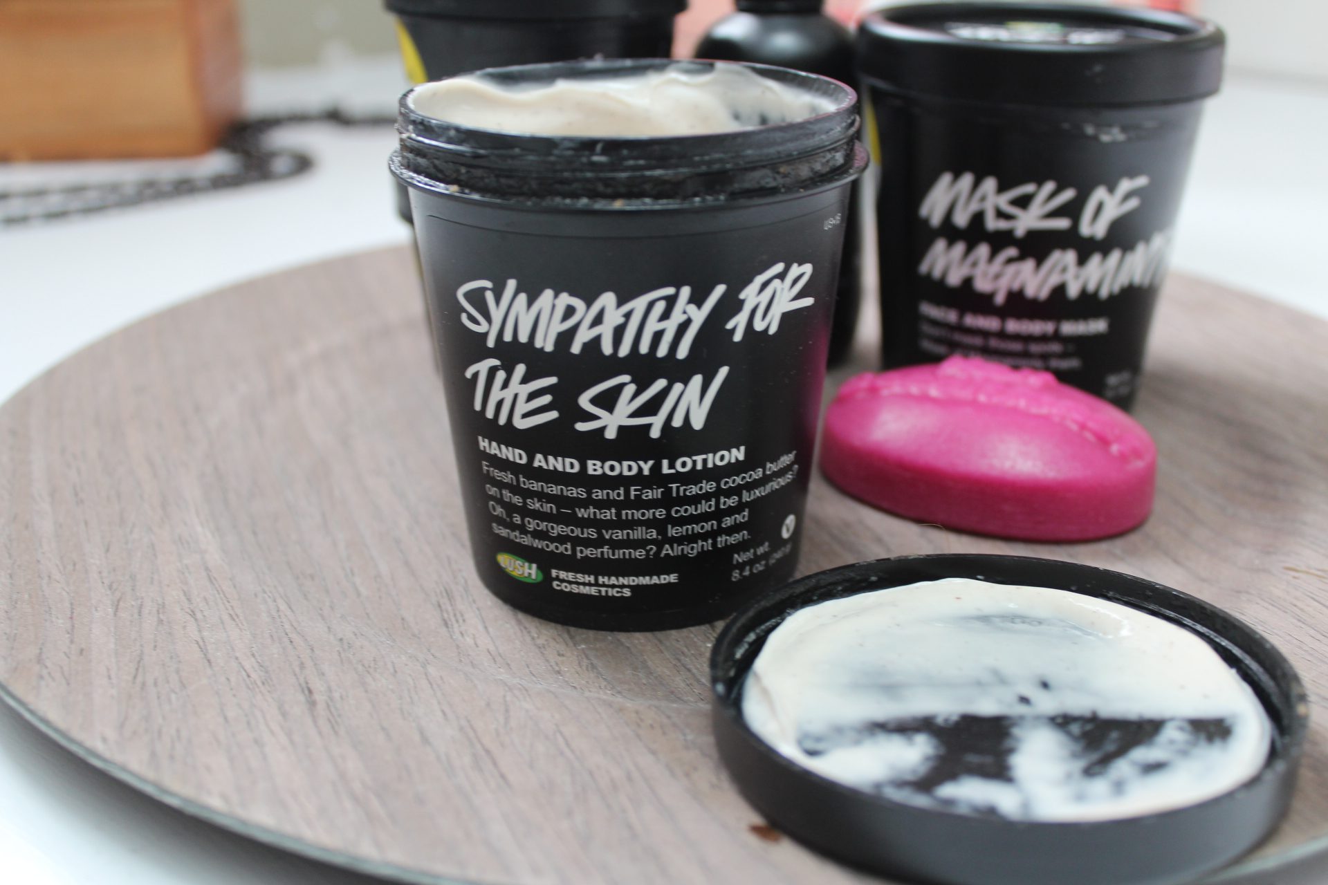 LUSH Cosmetics What You Should Try & Great Gift Ideas! [REVIEW]